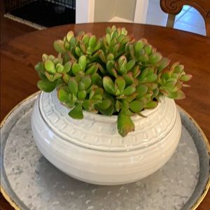 Meet your Posher, Marc